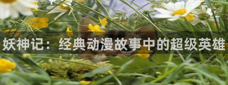歪歪漫画全部免费：妖神记：经典动漫故事中的超级英雄